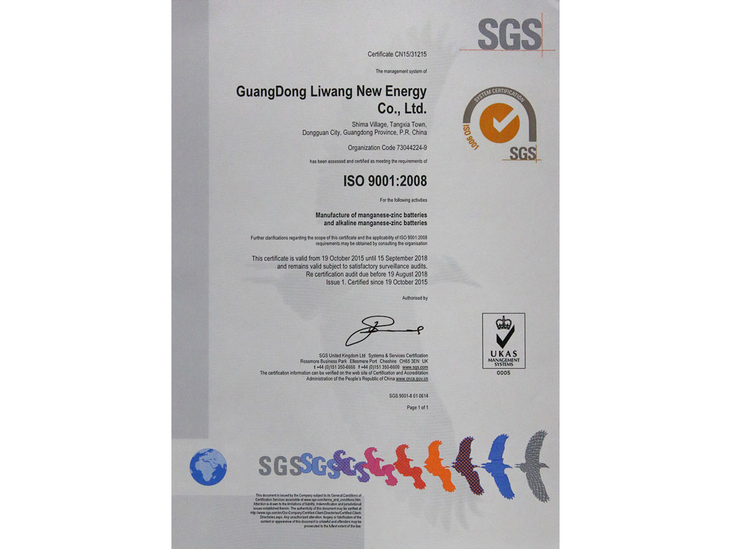 ISO90012008英文版